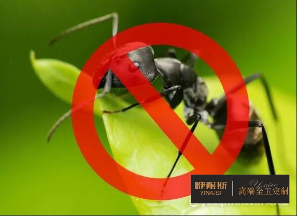 有效防蟲蟻 有效防蟲蟻